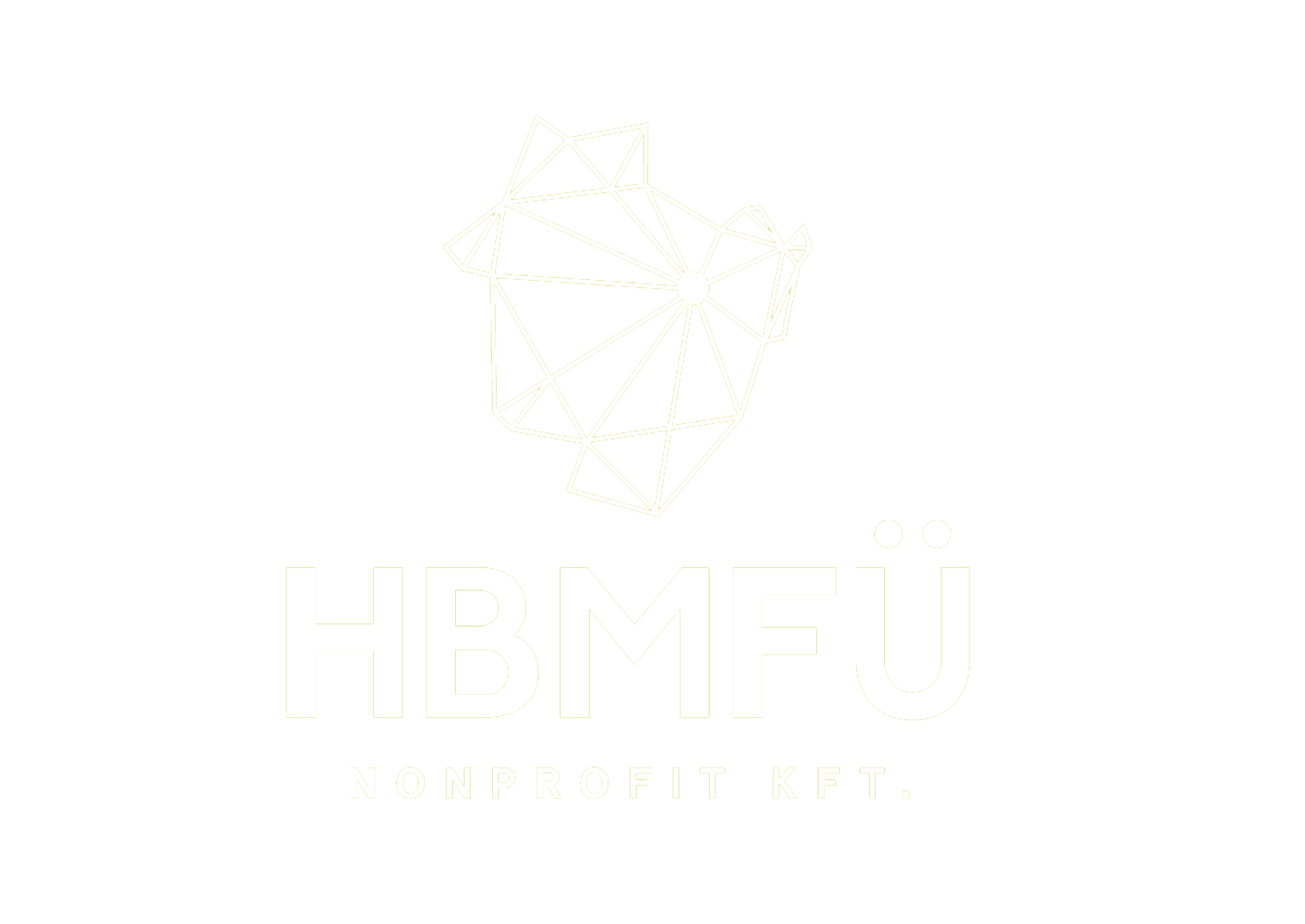 HBMFÜ
